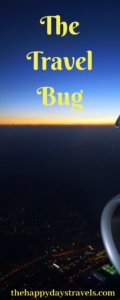 The Travel Bug Pin