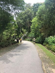 Path in the forest in Penang Hill