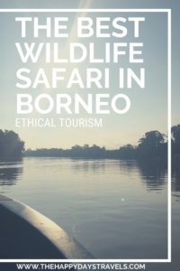 The best wildlife safari in Borneo PIN