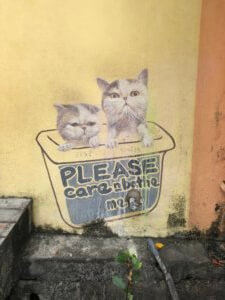 Image of 101 Lost Kittens Street Art in Georgetown