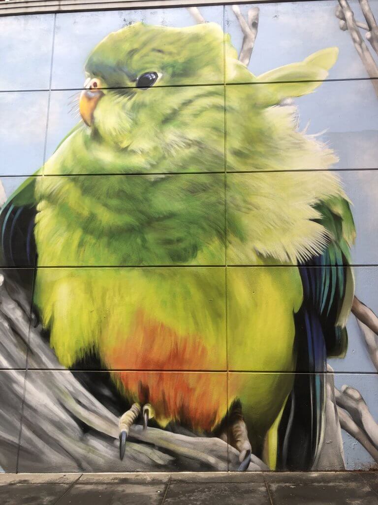 Colourful Bird - Example of Street Art in Melbourne CBD