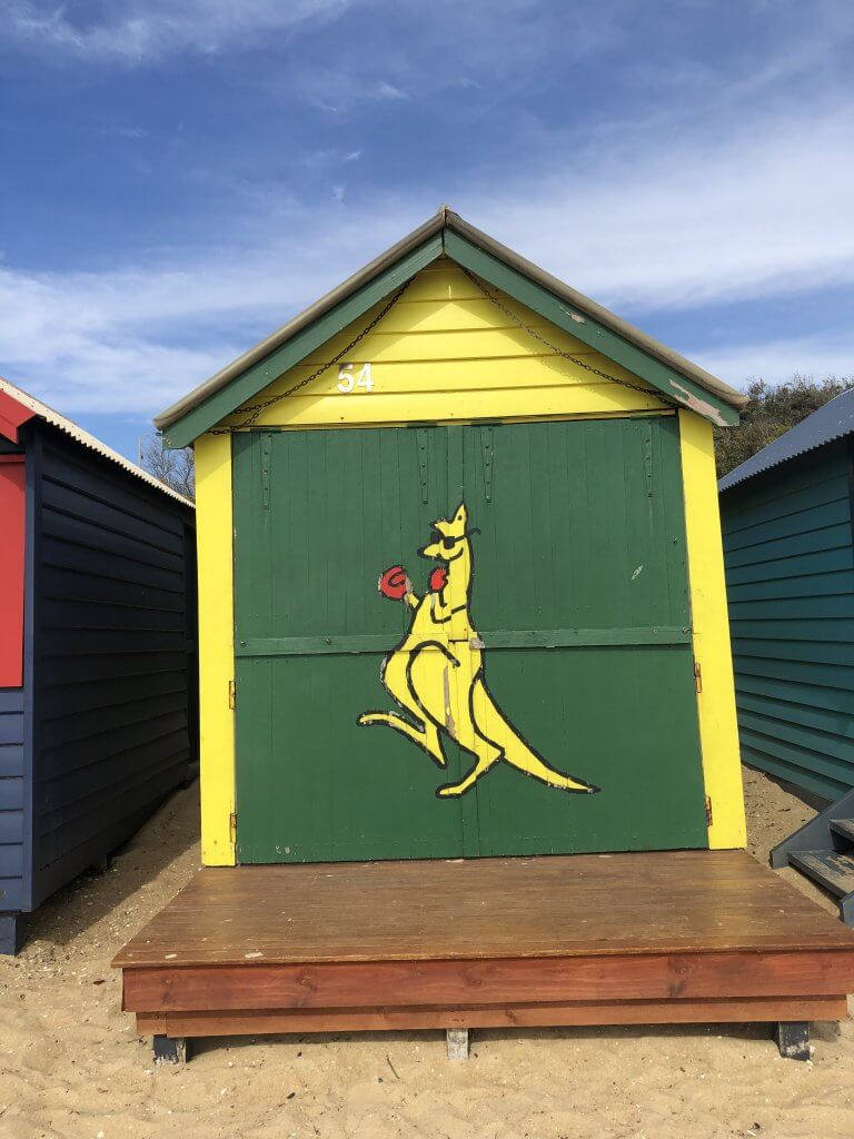 Kangaroo on Brighton Bathing Boxes in Melbourne