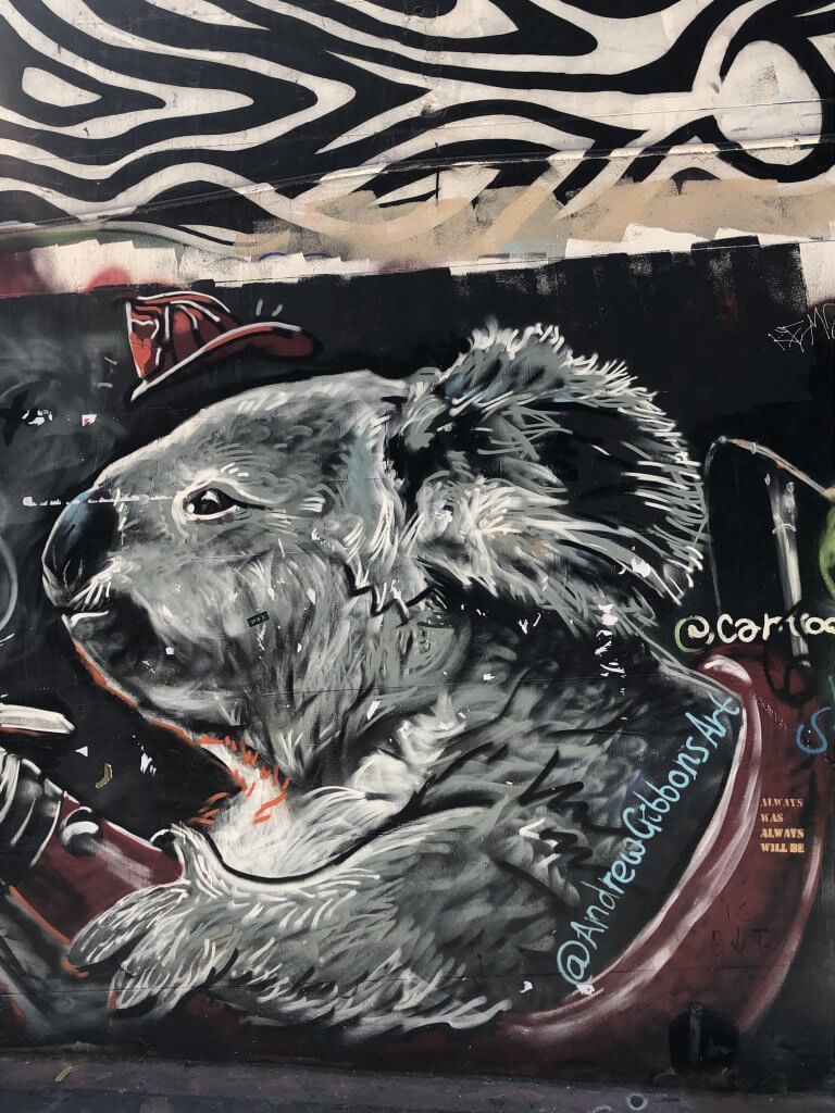 Koala Bear Street Art in Australia
