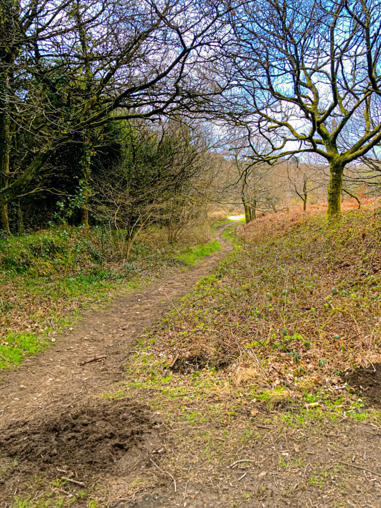 Path opposite Caerphilly Mountain 