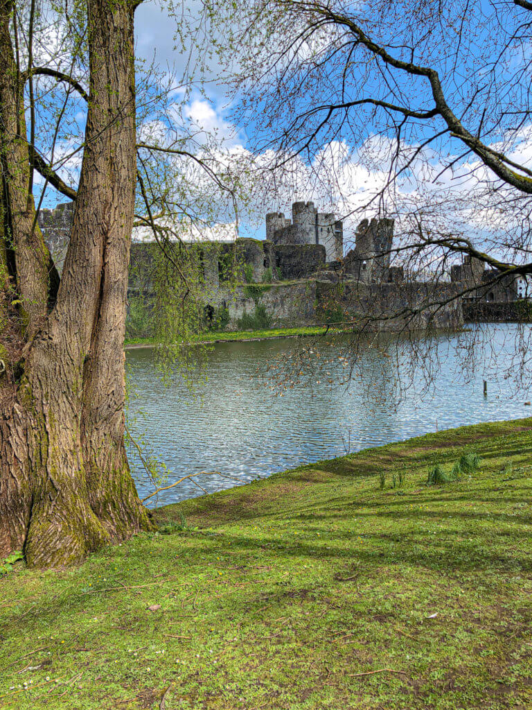 Edge of Caerphilly Castle. Picture of tree, lake, grass and castle in back