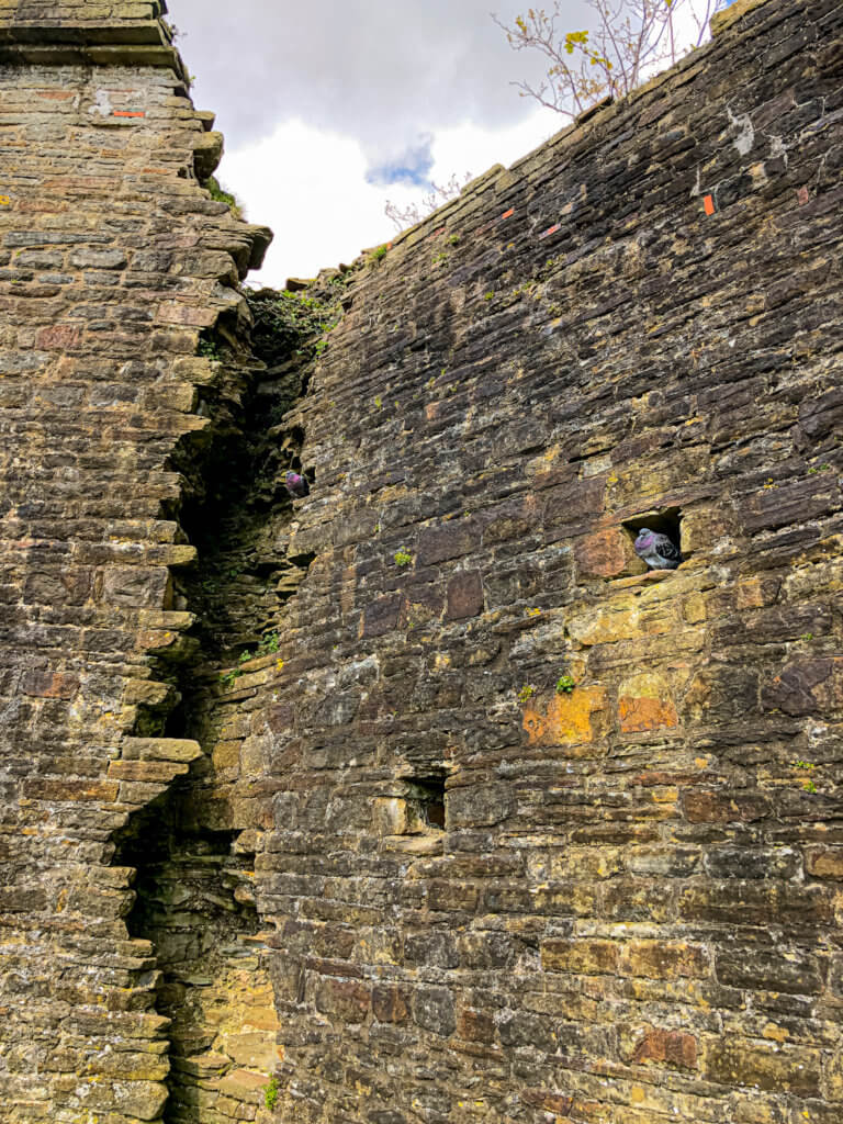 Walls of Caerphilly Castle with pigeons in holes
