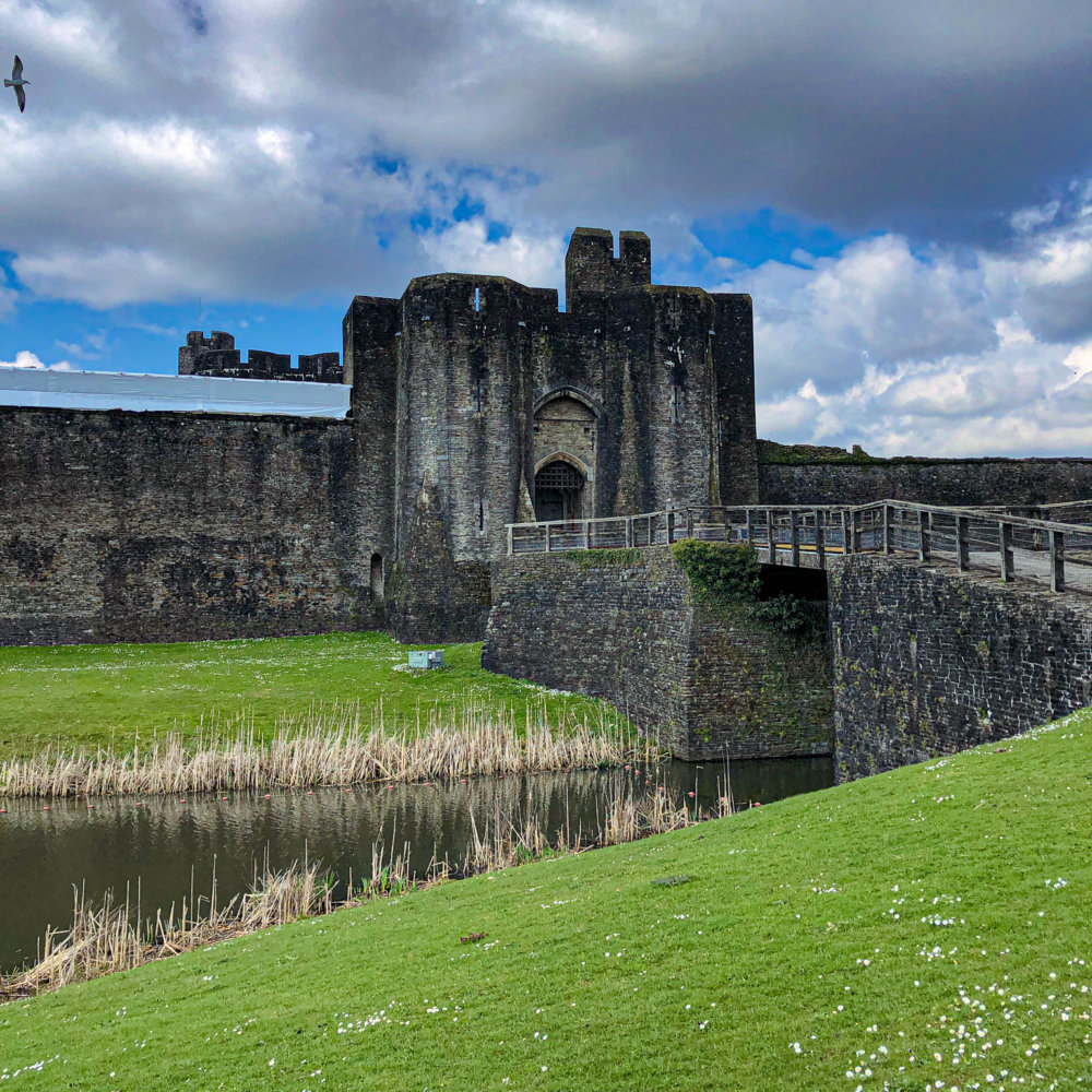 are dogs allowed in caerphilly castle