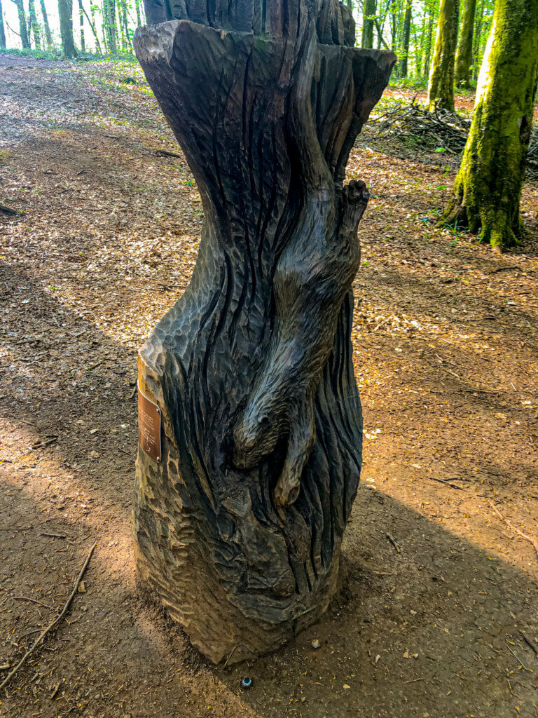 Sculpture Discovery Trail Fforest Fawr Cardiff Sculpture carved in tree