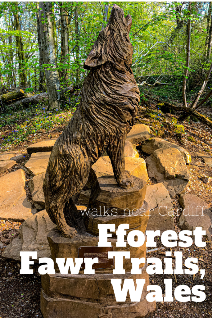 Pin image for Fforest fawr trails, Wales and walks near Cardiff with sculpture of wolf in background. 