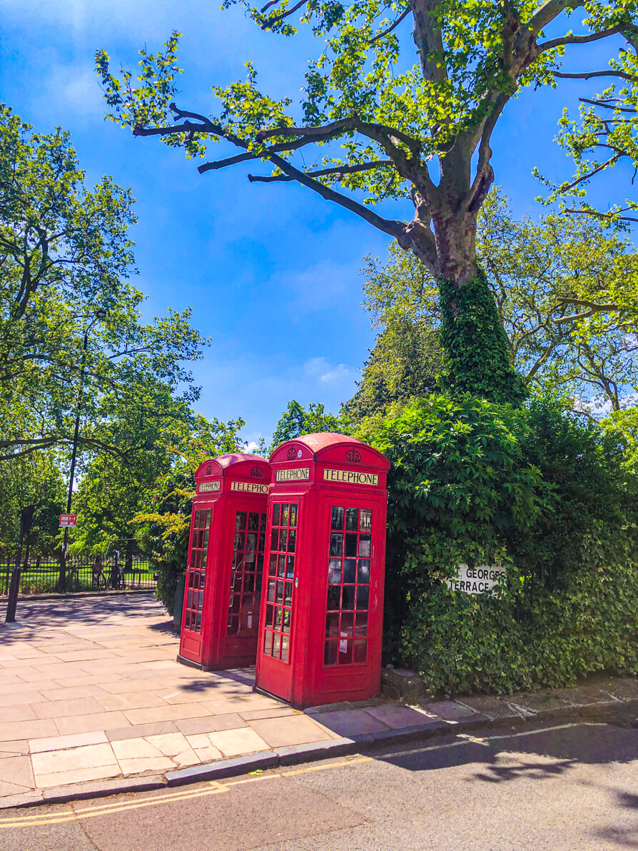 two famous London red phone boxes in centre of image with trees overarching and Primrose Hill park in the background 
