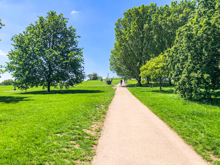 Path in Primrose hill park with trees and grass either side and the top in the background