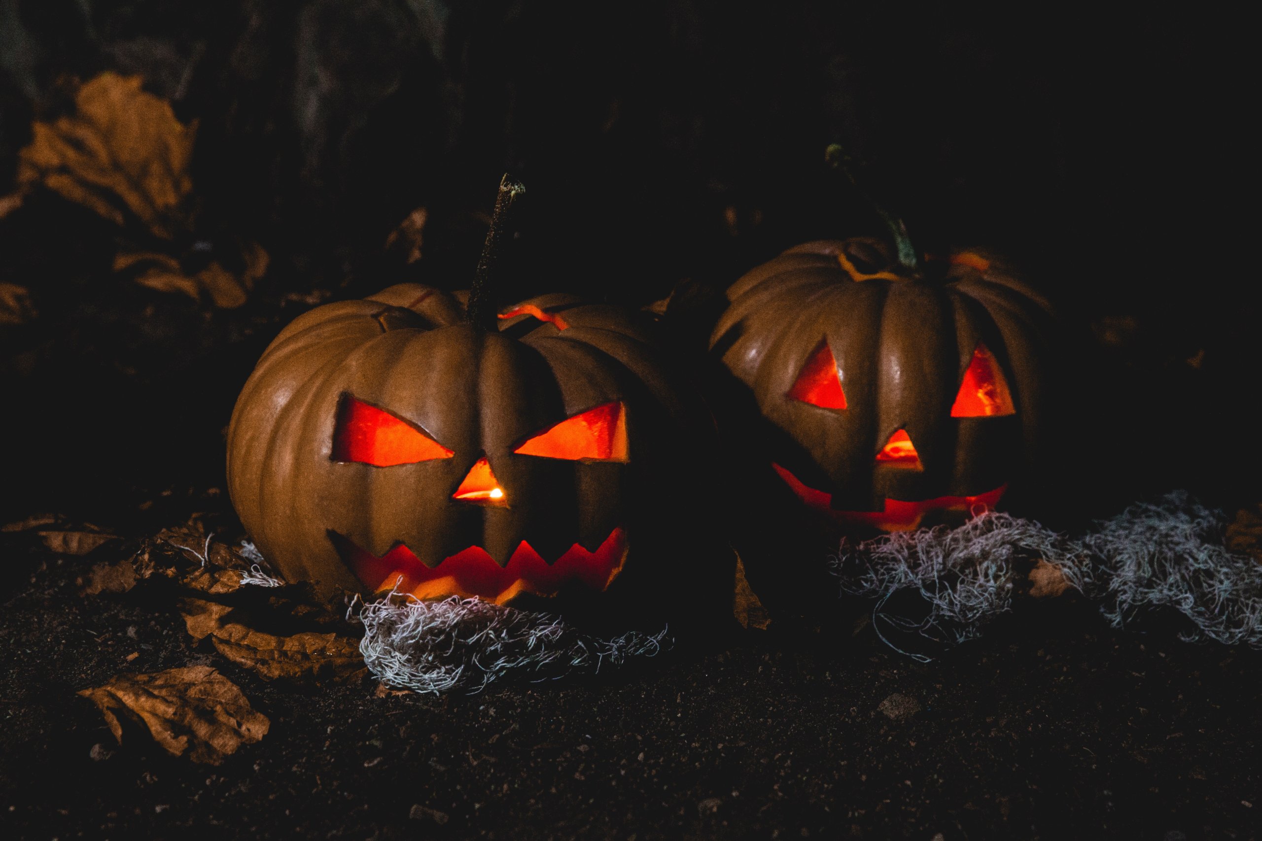 Pexels image of two orange pumpkins with black background. Pumpkins have triangle shapes as eyes and noses with orange light shining through and scary looks