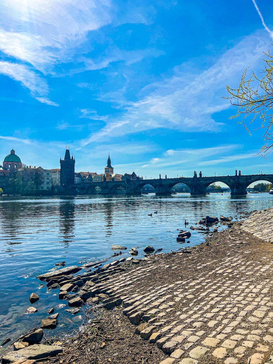 View of Charles Bridge from the Swan Spot in Prague 