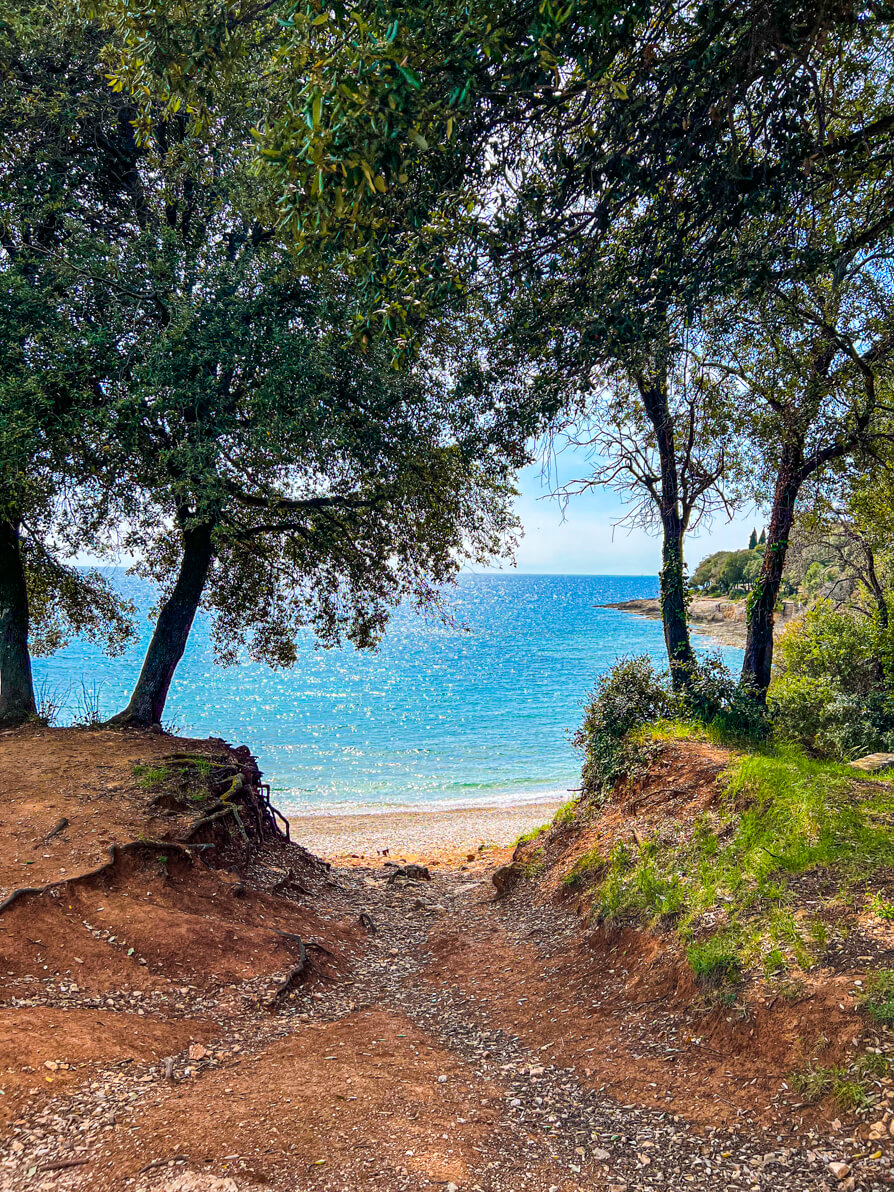 Saccorgiana Beach in background with a gap in the trees at Stoja, Pula, Croatia