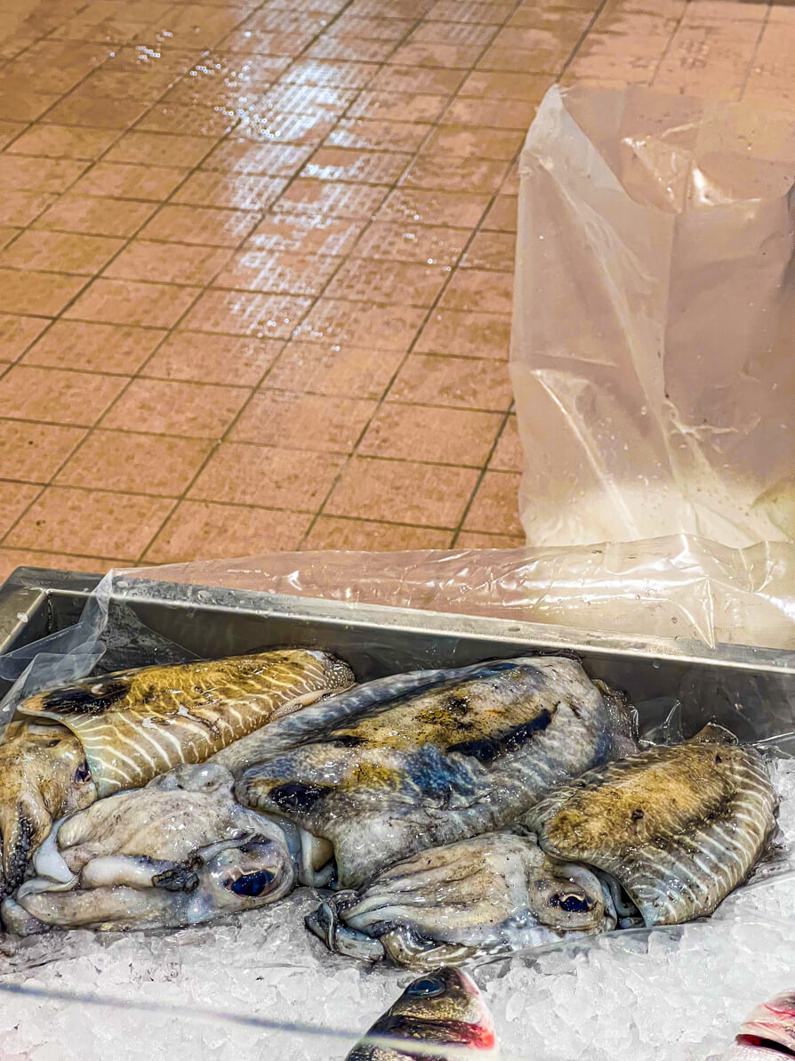Up close image of a pile of Cuttlefish being sold at the fish market in Zadar Croatia