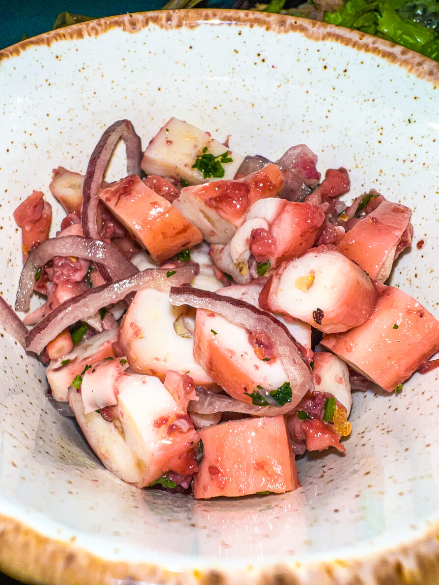 Close image of Octopus Salad with red onions in a white bowl in Zadar Croatia