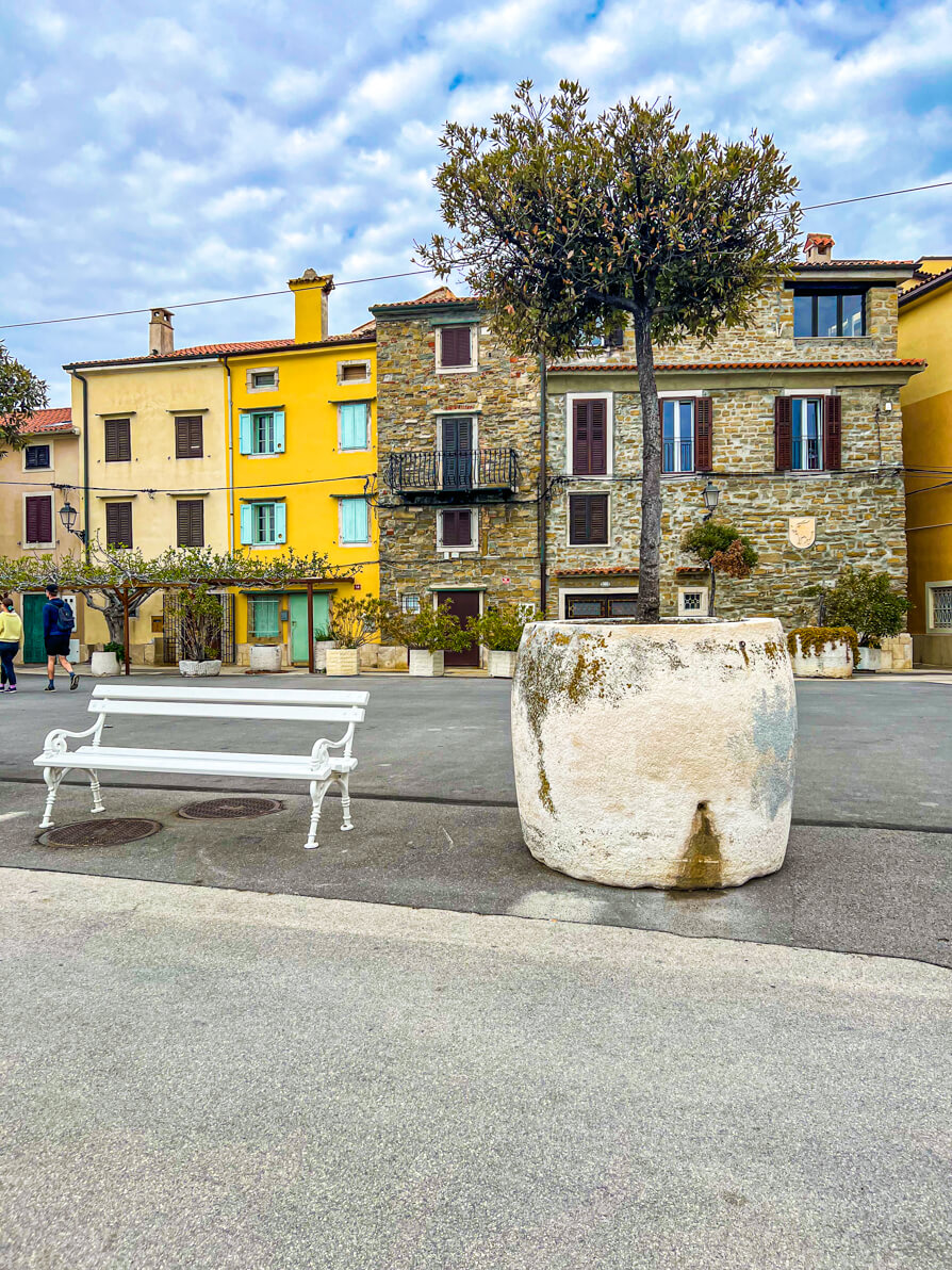 Image of Piran square next to coastal path. There is a white bench and big white plant pot in front with yellow house in the background in Piran Slovenia