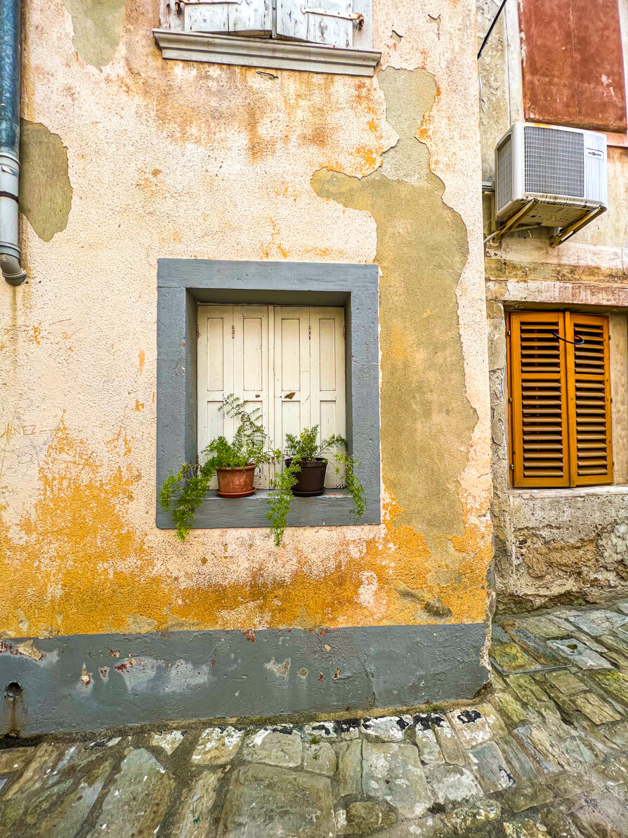 Image of beige wall with cream window and two plants sat on the grey windowsill in Piran Slovenia
