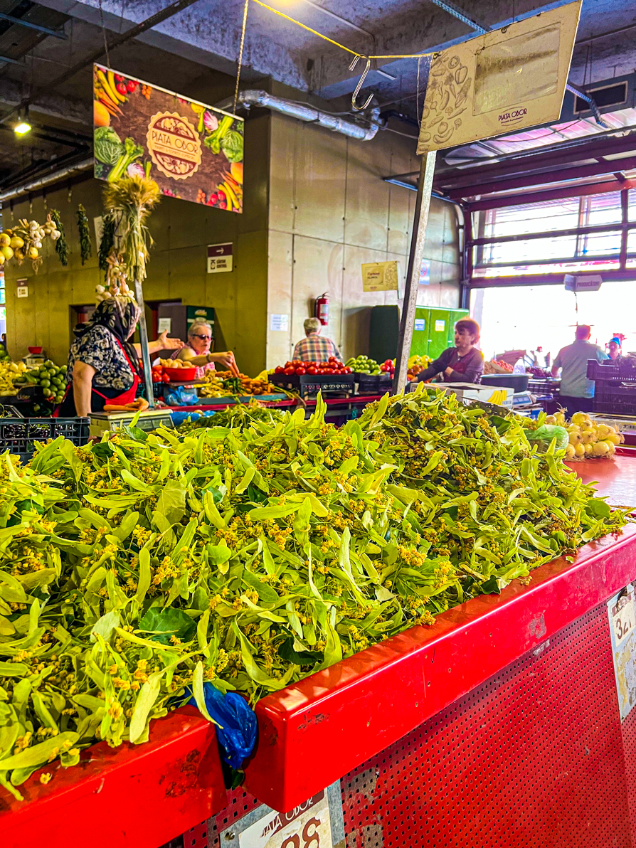 Image of green flowers that are used for tea on red tables in Bucharest Obor Market