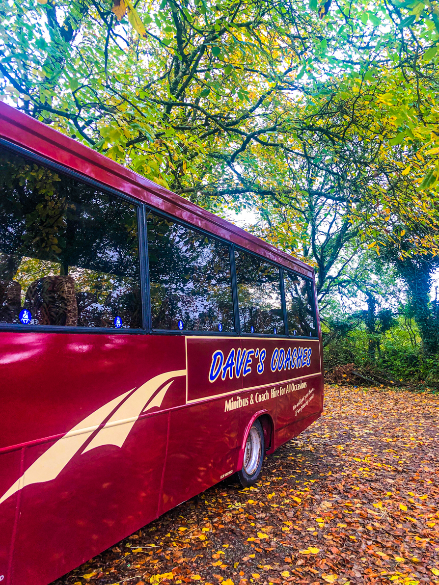 Image of the left side of Daves Coaches red bus with the original paintwork and trees in the background
