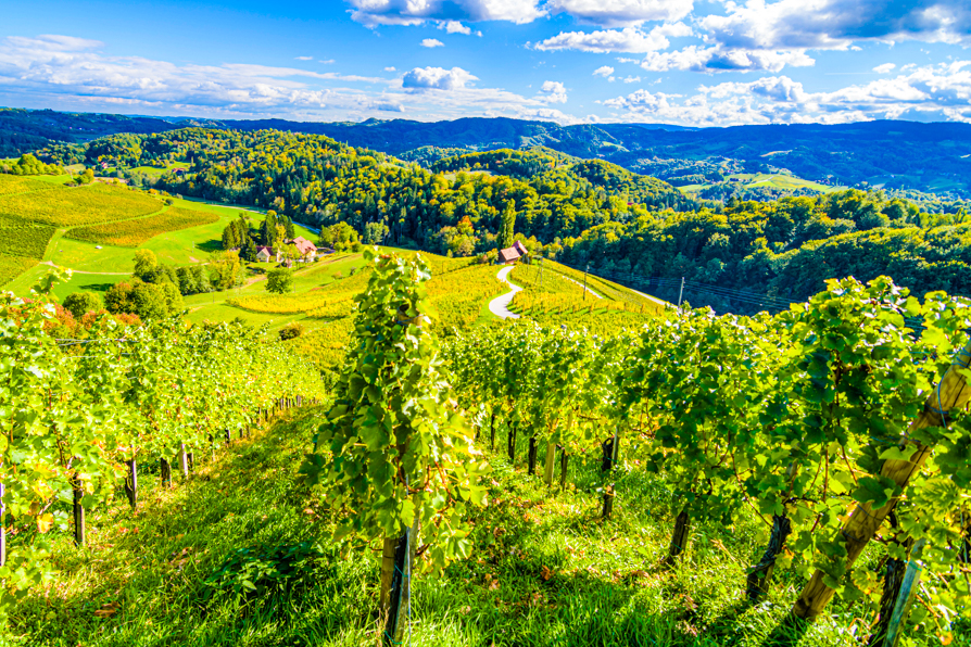 Image credit to Adobe Stock, sourced from Vidyut of the famous heart shaped wine road in Slovenia in autumn, Heart form - Herzerl Strasse, vineyards in autumn, Spicnik