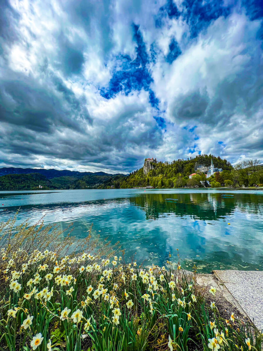Image of Lake Bled with flowers in front, lake in centre and Bled castle in back. Clouds and blue sky showing. 