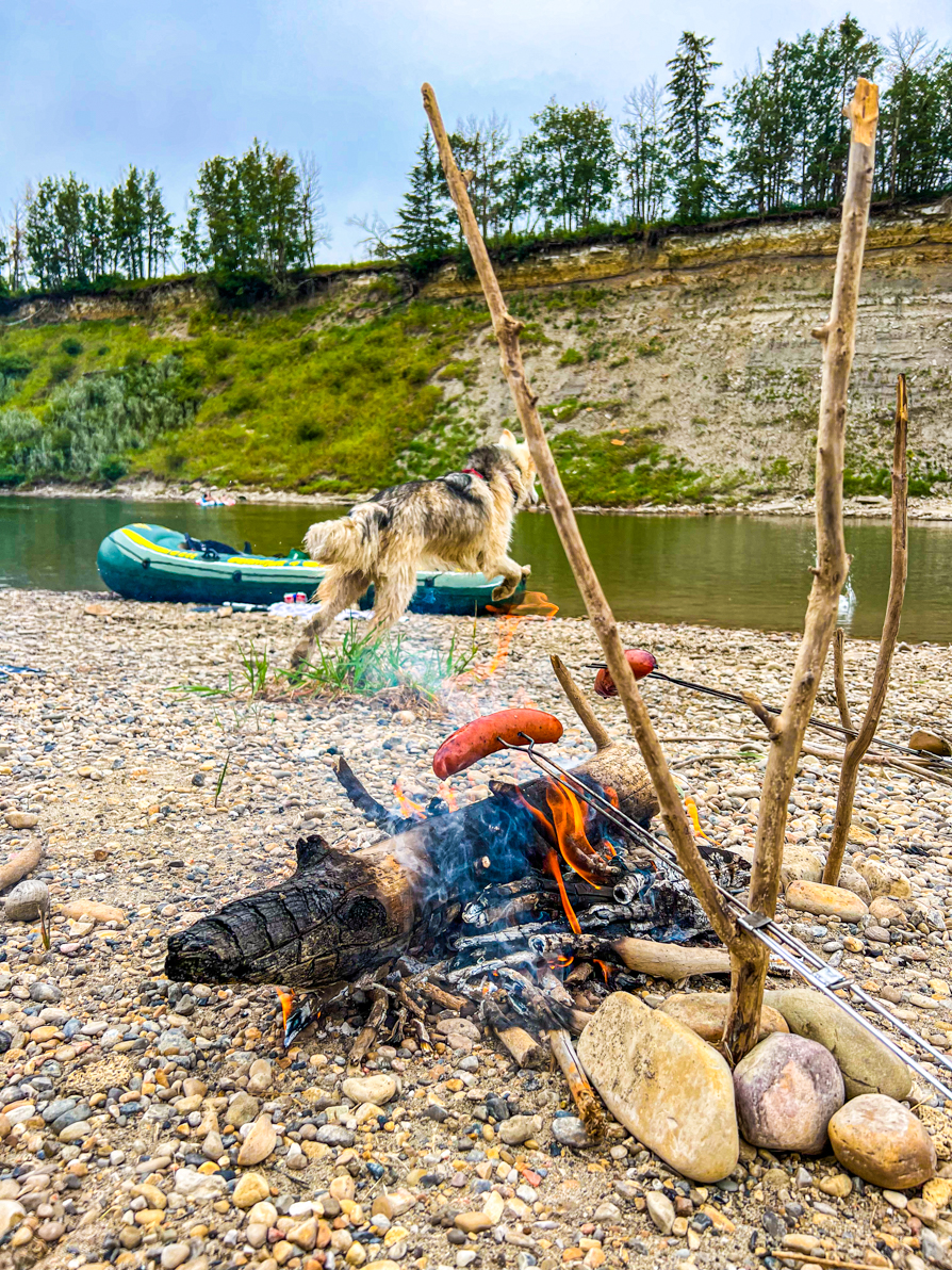 Image of hot dogs grilling on the homemade fire on bank of Red Deer River with boat and river in back and dog mid-jump