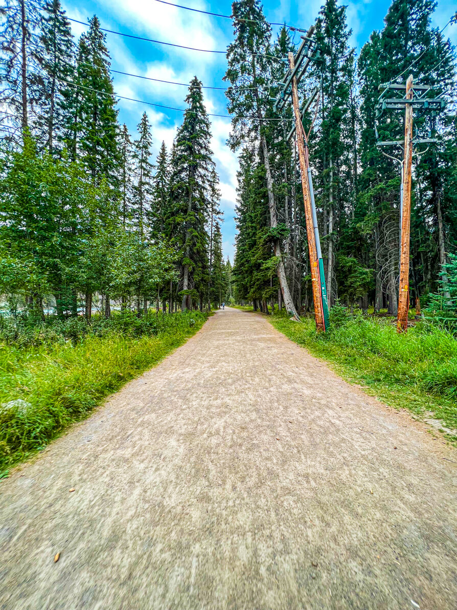 Image of Bow Falls Trail path surrounded by tall, green trees and grass in Banff Alberta