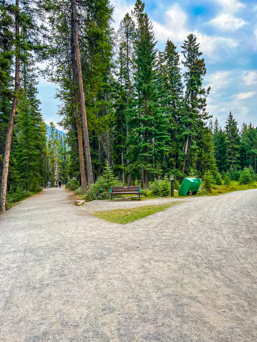 Image of fork in Bow Falls Trail path with green triangle patch, paths either side and green trees in background in Banff National Park