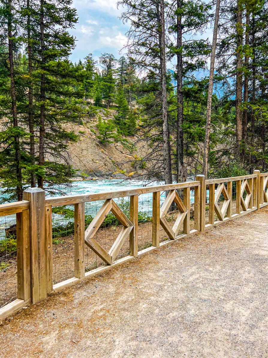 Image of brown fence along the walking path of Bow Falls trail next to Bow River with green trees in background in Banff