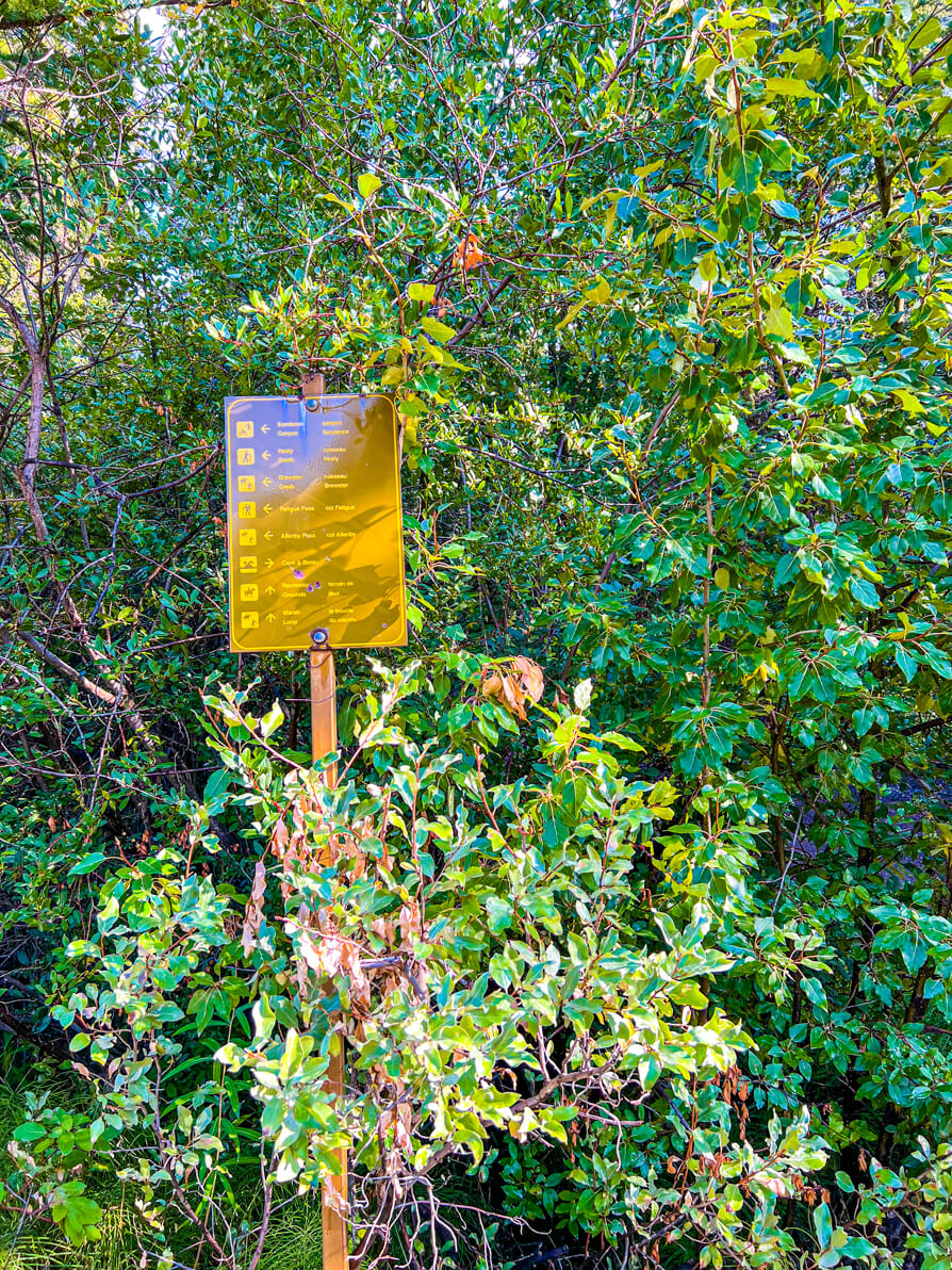 Image of marsh loop sign on the trail to turn in Banff. Sign is yellow and almost hidden in bushes.