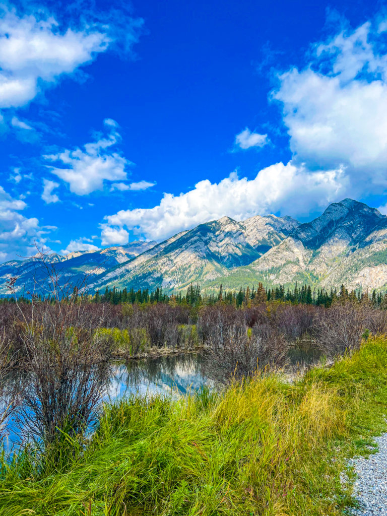 Guide to Hiking The Marsh Loop Banff Trailhead in Banff National Park!