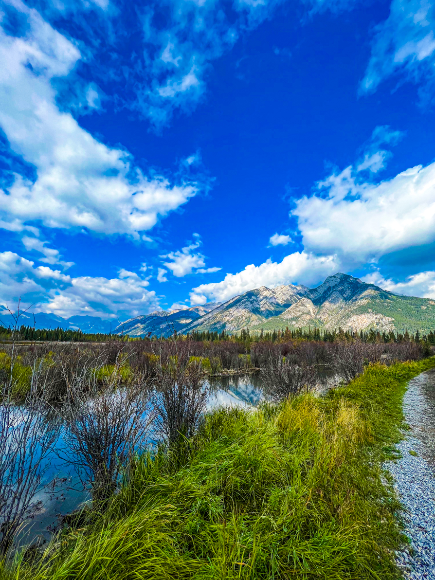 image of wetlands and mountains marsh loop trail Banff 