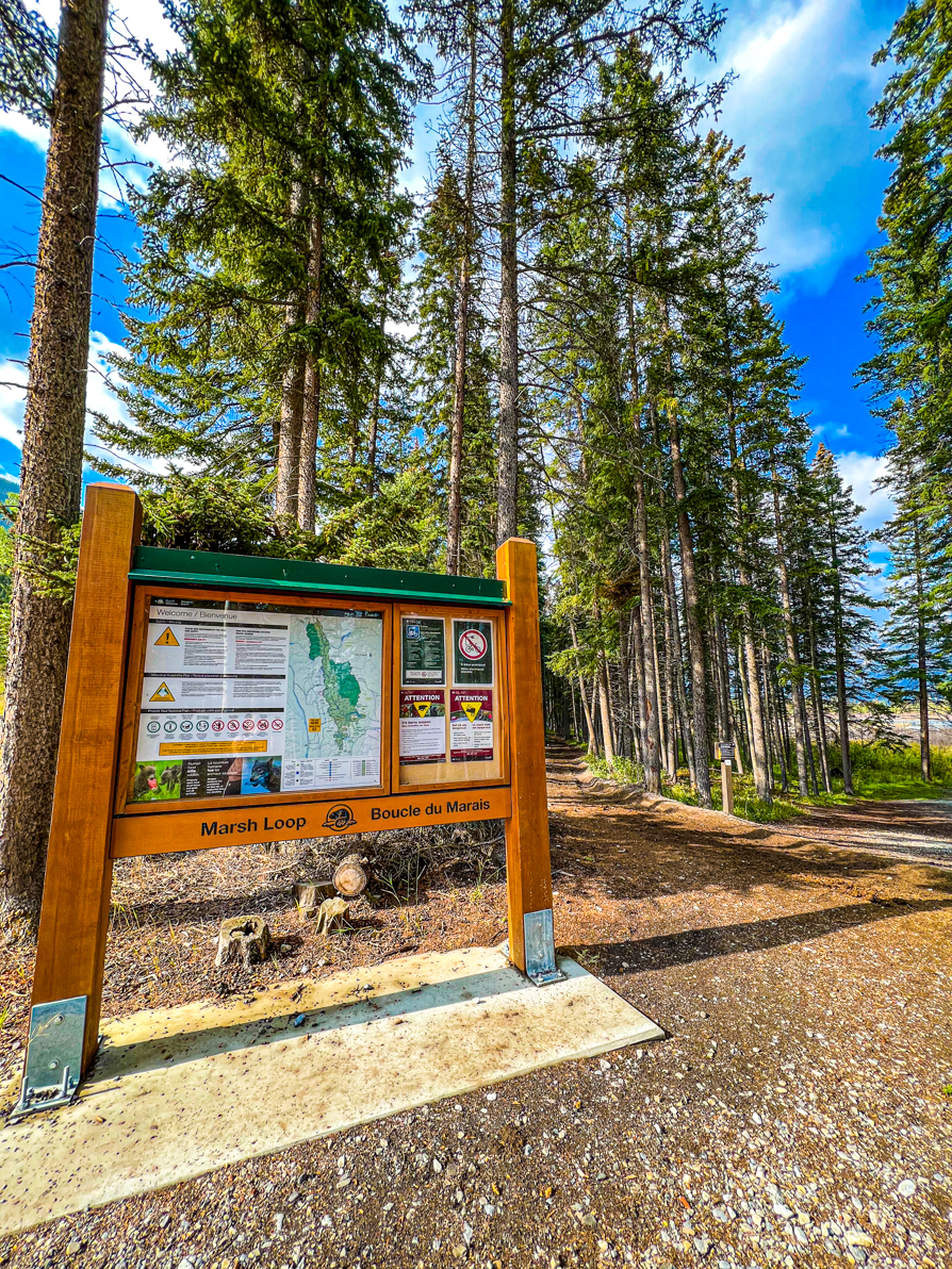 image of marsh loop trail sign Banff 