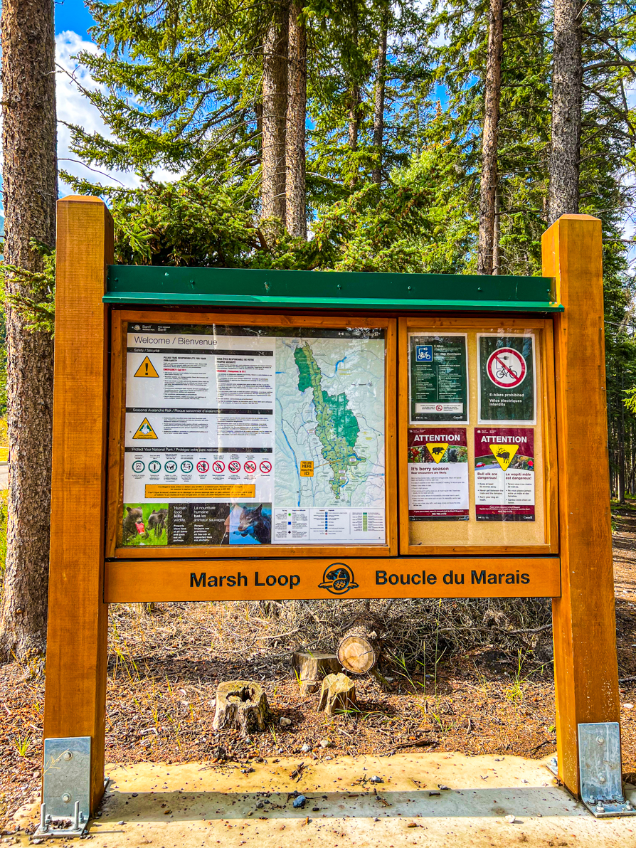 image of marsh loop trail sign Banff 