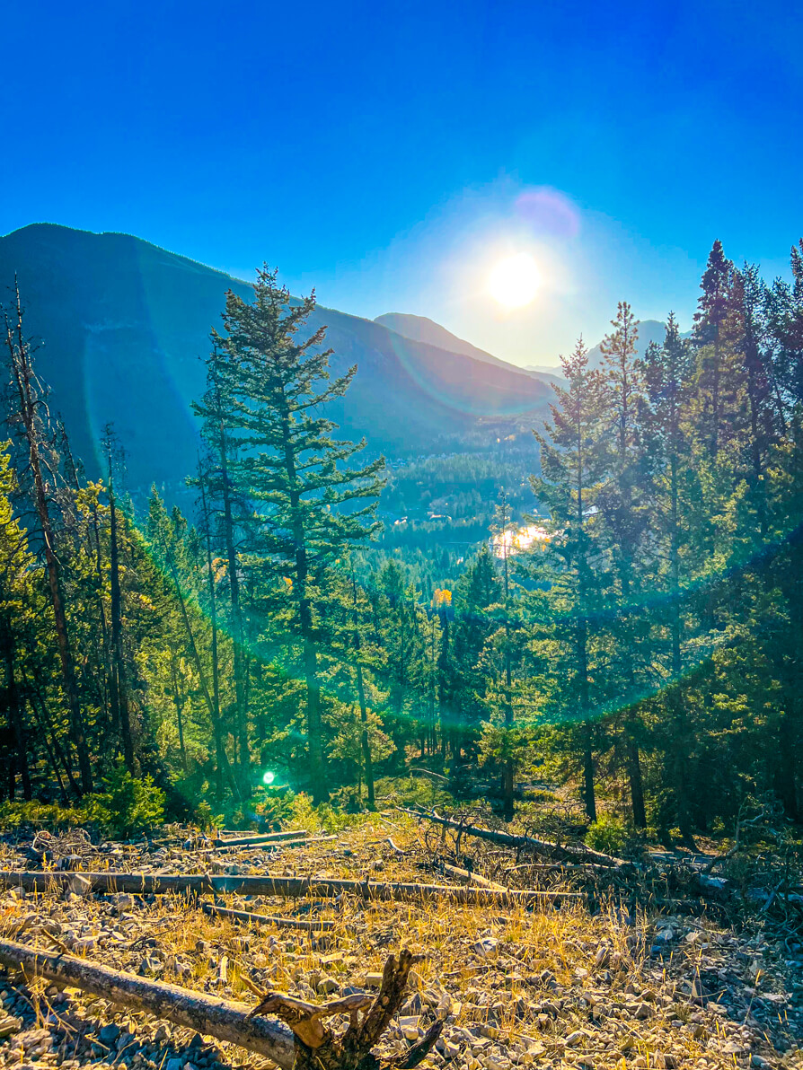 Image of sun setting behind Rocky Mountains with green trees in front on the Tunnel Mountain hike in Banff
