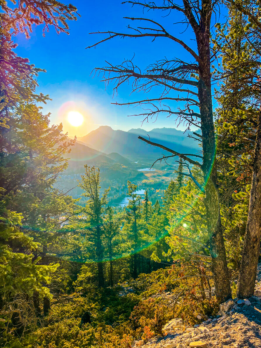 Image of sun setting behind Rocky Mountains with green trees in front on the Tunnel Mountain hike in Banff