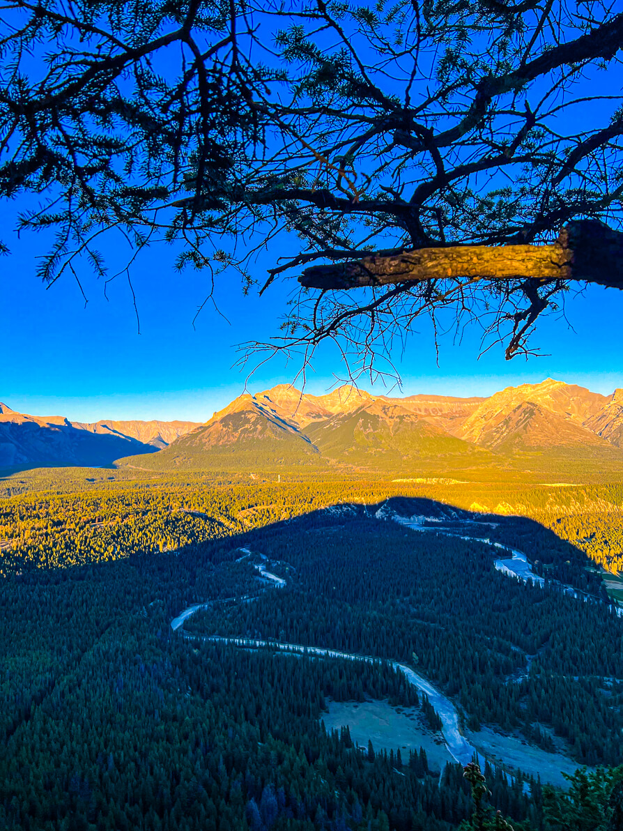 Image of Hoodoos, Golf Course and river in front of Rocky Mountains and blue sky in Banff as seen from Tunnel Mountain. There is a branch at the top of the photo