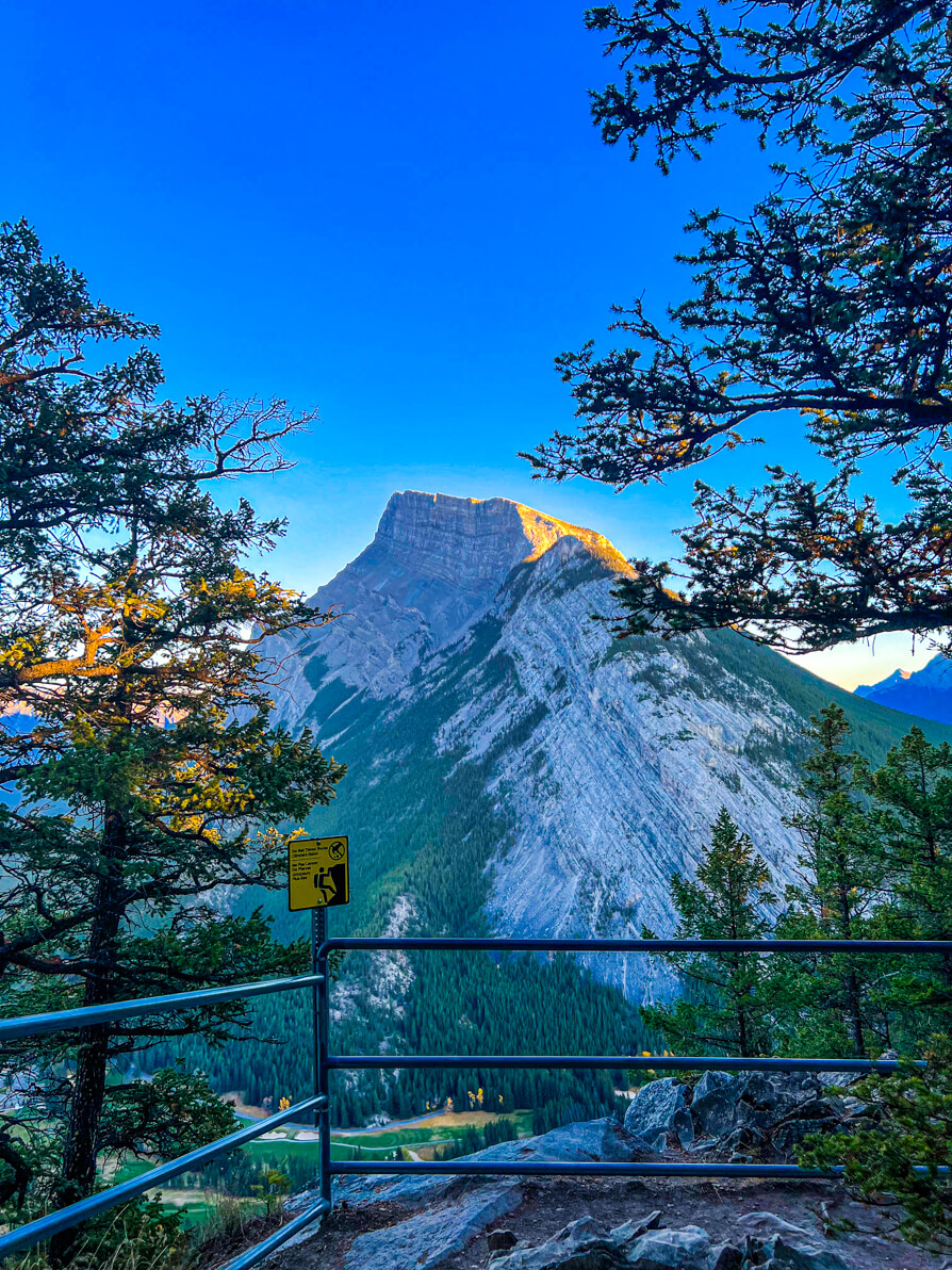 Image of Mount Rundle against a blue sky with two trees either side and a metal fence on the Tunnel Mountain trail in Banff
