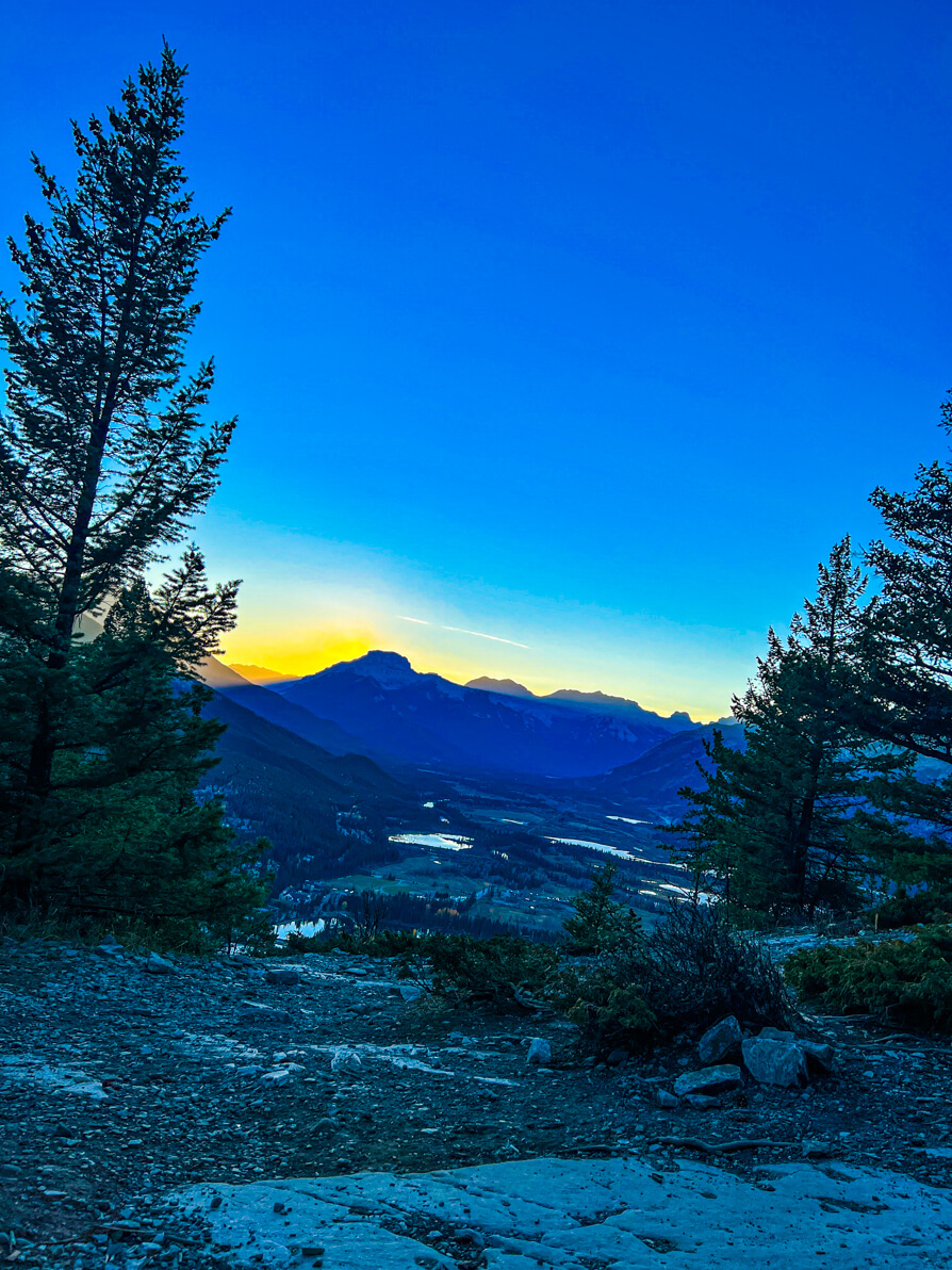 Image of two trees flanking the photo, Banff town and Rocky mountains in background and sun setting on the blue sky in Banff