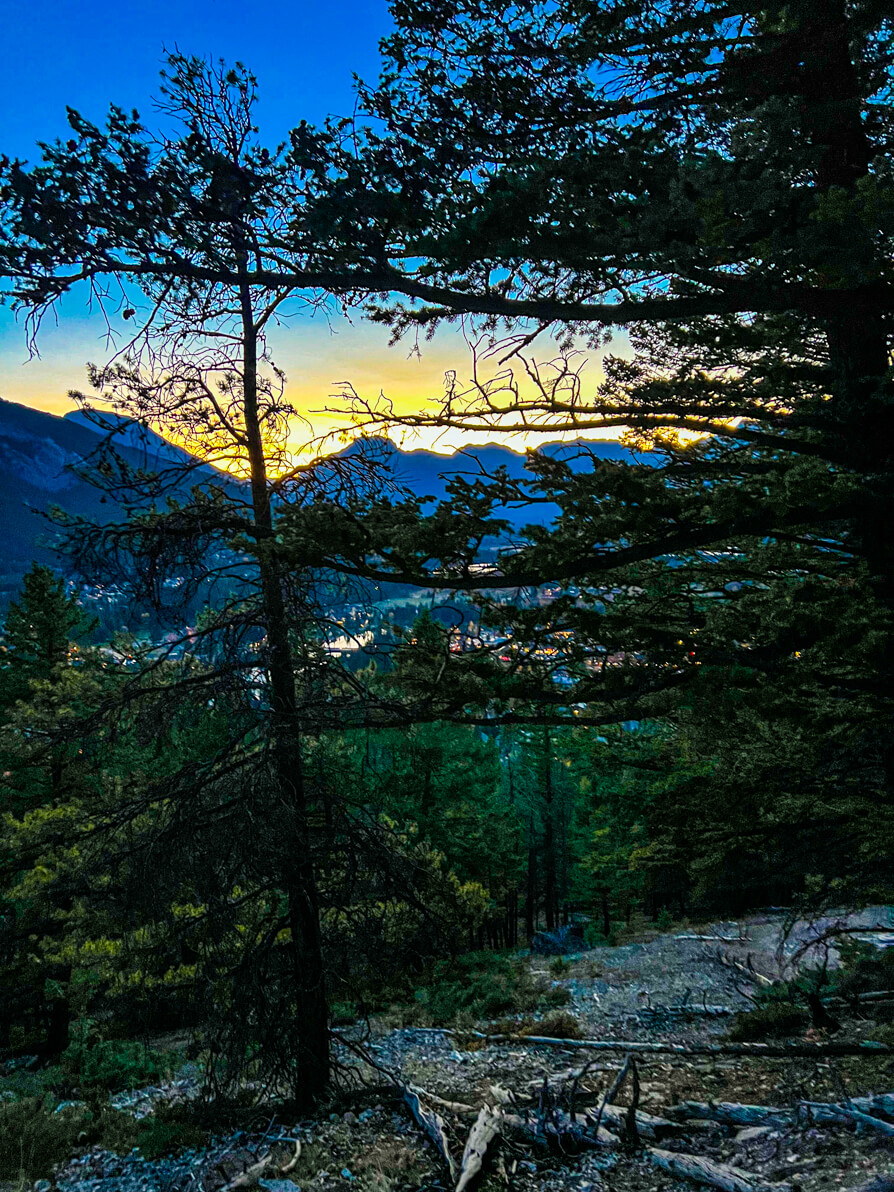 Views of Banff town and rocky mountains amongst green trees as seen from Tunnel Mountain trail in Banff