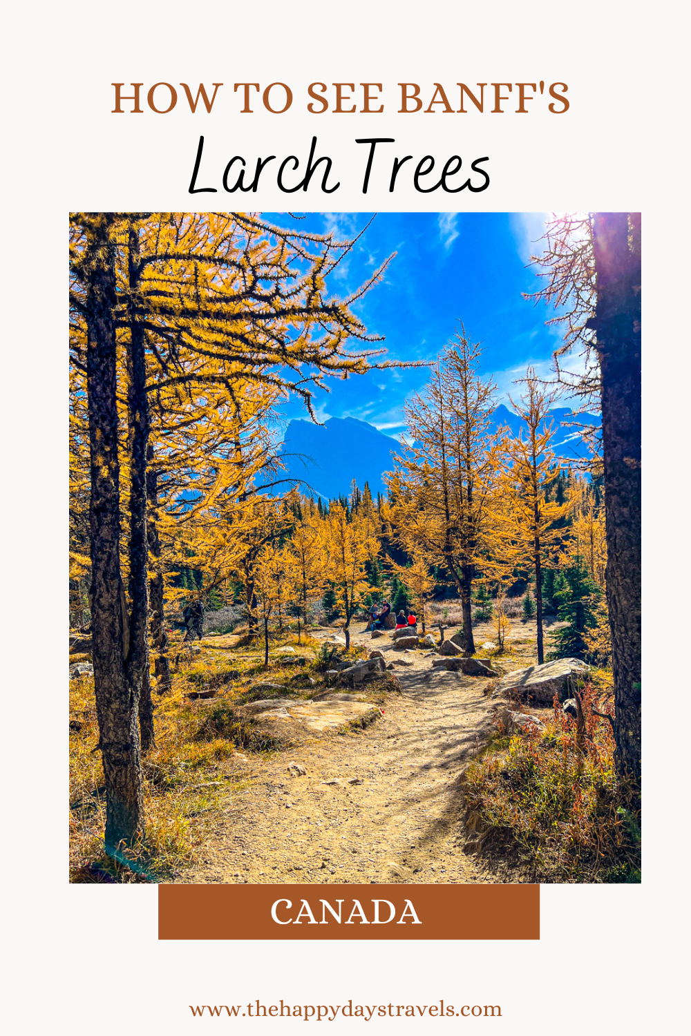 pin image of larch valley hike trees with mountains in back. text reads 'how to see Banff's Larch Trees, Canada'.