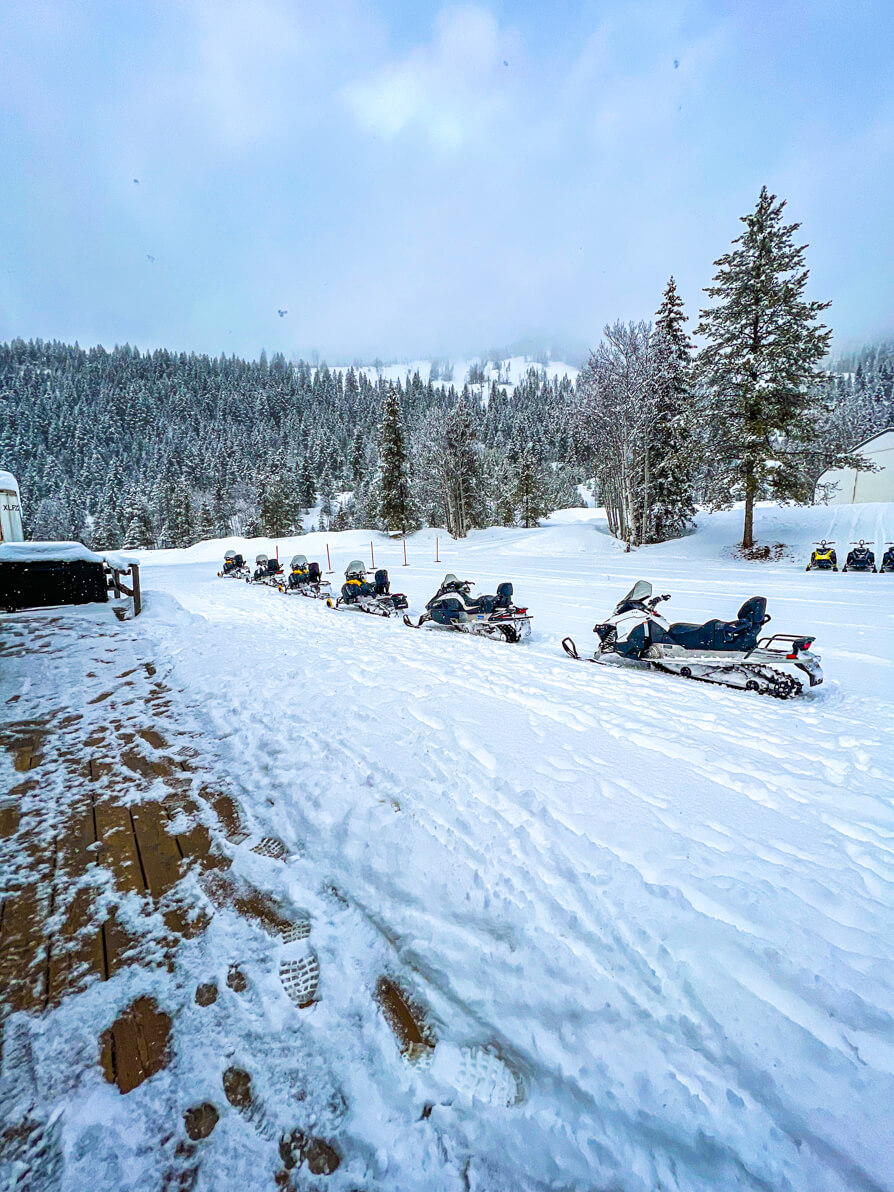 Image of 4 snowmobiles on snow behind one another in BC Canada