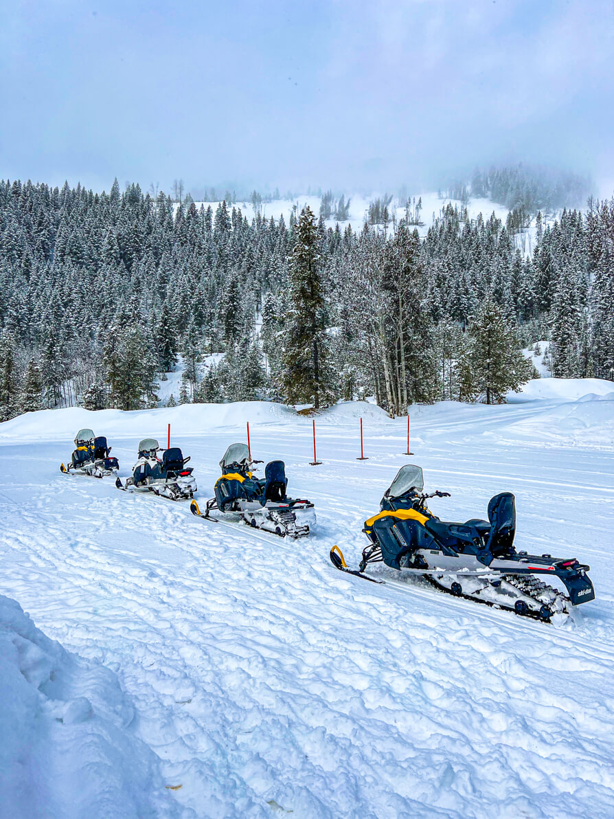 Image of 4 'Ski-doo' snowmobiles on snow behind one another with trees in background