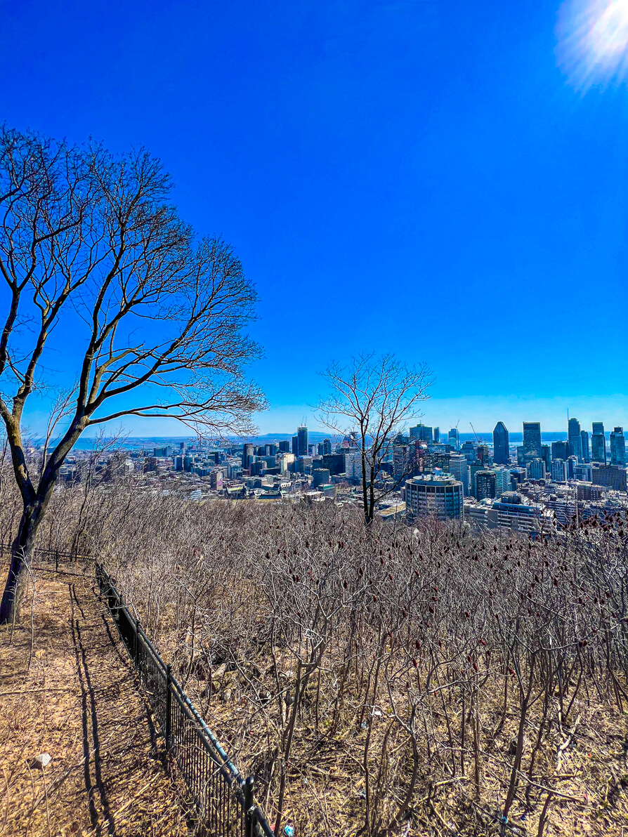 view of Montreal skyscrapers as seen from Mount Royal Hike Lookout