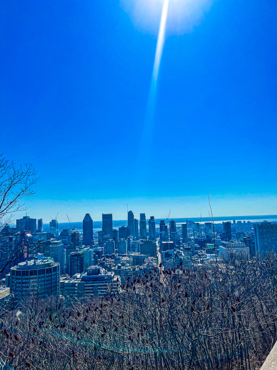 view of Montreal skyscrapers as seen from Mount Royal Hike Lookout