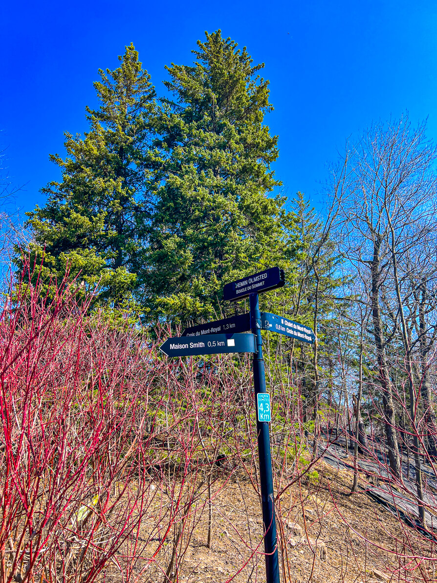 Sign of Olmsted Trail on Hiking Mount Royal in Montreal Canada
