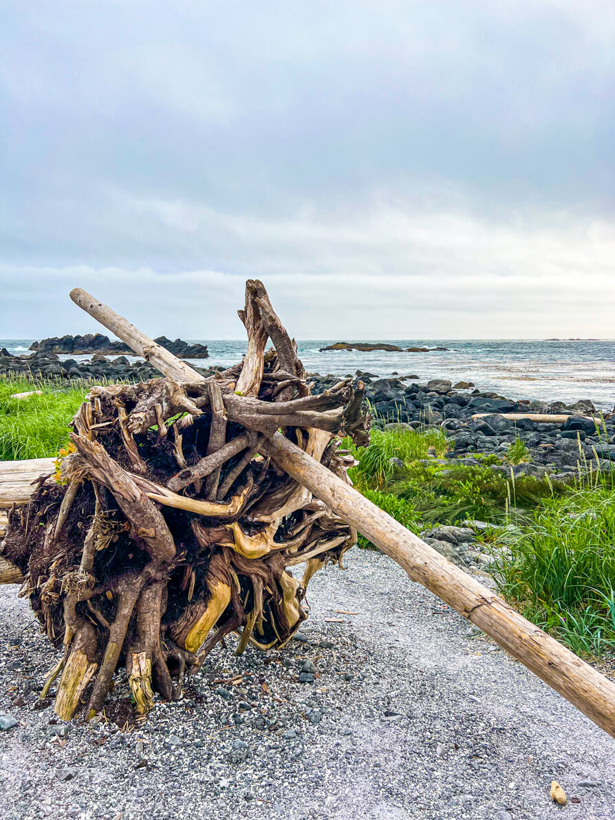 Image of beach at Ucluelet Things to Do on Vancouver Island Canada