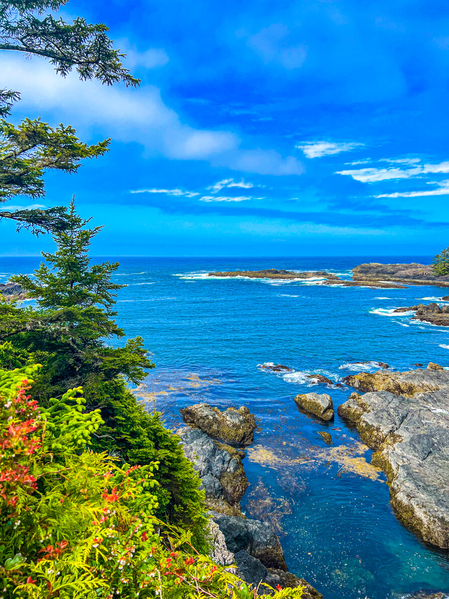 image of Pacific Ocean as seen from the Lighthouse Loop for Things to do in Ucluelet.