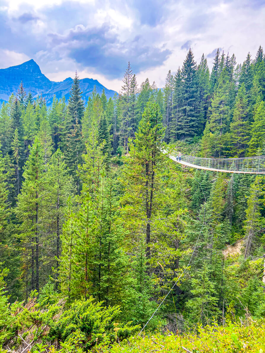 image of Kananaskis Suspension Bridge from the right hand side looking over with mountains in back